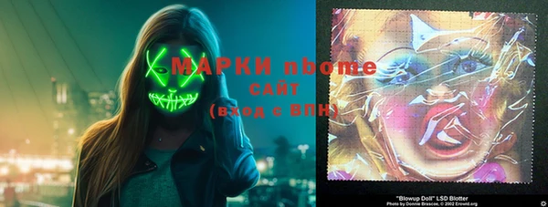 индика Баксан