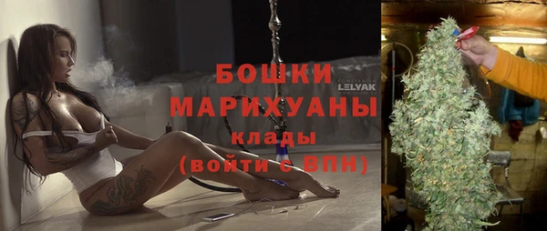 индика Баксан