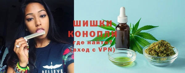 индика Баксан