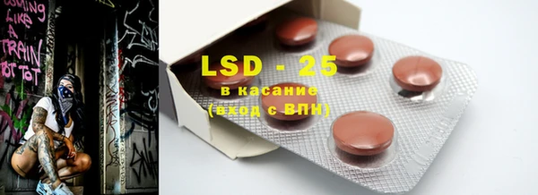 индика Баксан