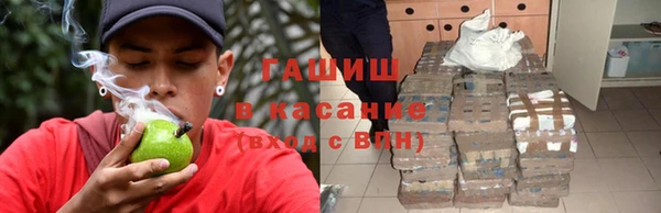 индика Баксан