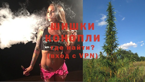 индика Баксан