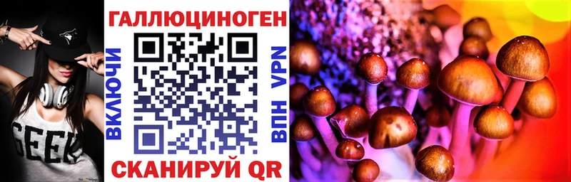 Галлюциногенные грибы MAGIC MUSHROOMS  купить наркотик  darknet телеграм  Куровское 